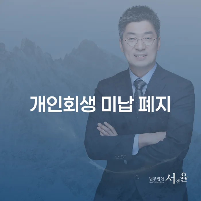 대출미납 개인회생 처리방법 희망으로