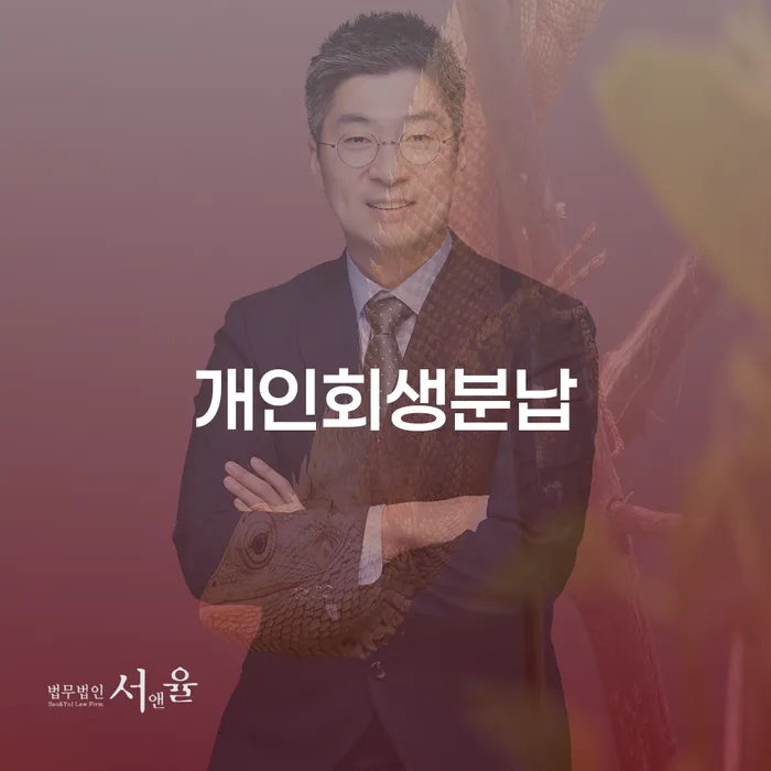 신불자 채무조정제도을 이용하여 급증하는