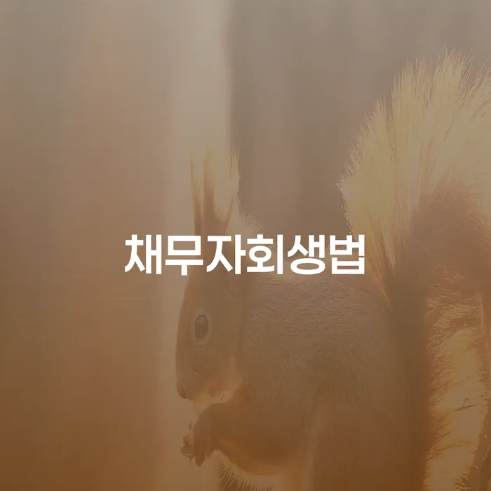 세종시 불법채권추심 개인회생 과정을