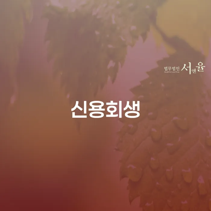 증평군 비면책채권 빚갚는 방법 판단을위해
