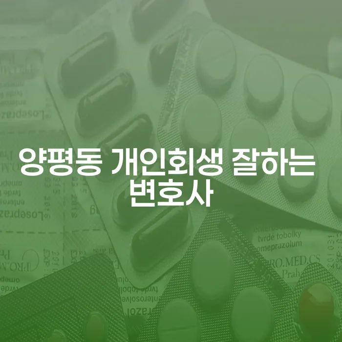 양평동 개인회생 잘하는 변호사