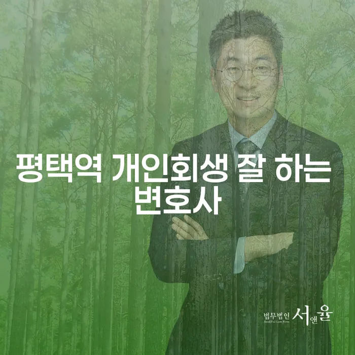 평택역 개인회생 잘 하는 변호사