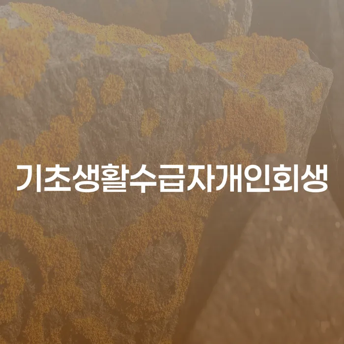 기초생활수급자, 개인회생과 파산신청 중 무엇을 선택해야 할까요?