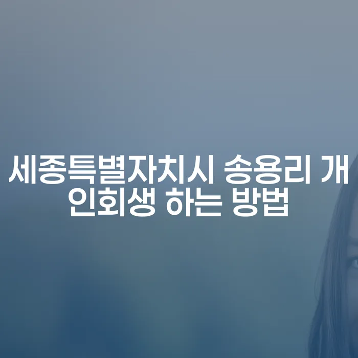 세종특별자치시 송용리에서 개인회생을 어떻게 진행할 수 있을까요?