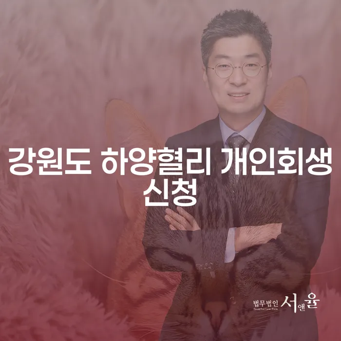 강원도 하양혈리에서 개인회생을 신청하는 것이 현명한 선택일까요?