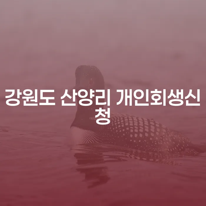 강원도 산양리 개인회생신청, 어떻게 해야 할까요?