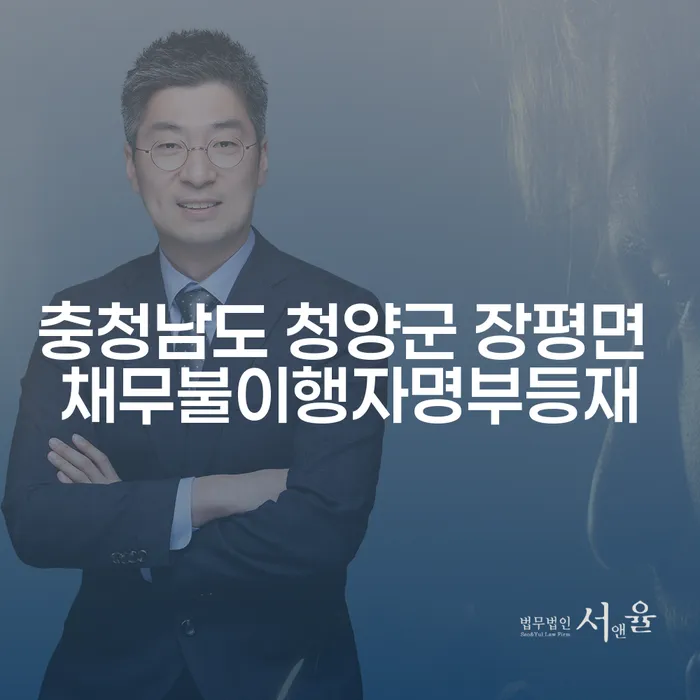 충청남도 청양군 장평면 채무불이행자명부등재와 담보사채, 어떻게 해결할 수 있을까요?