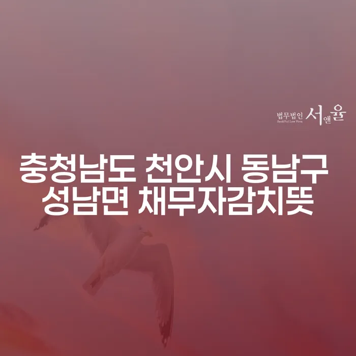 충청남도 천안시 동남구 성남면에서 채무자감치뜻을 이해하고, 제일법무사를 통해 해결책 찾기