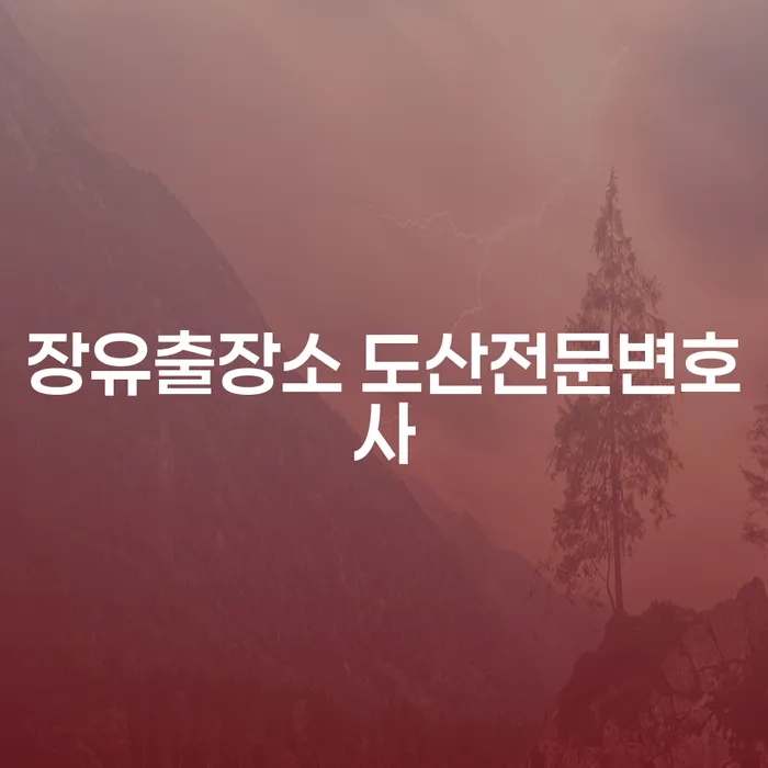 장유출장소 도산전문변호사와 함께하는 개인회생 및 파산, 지금이 적기인가요?